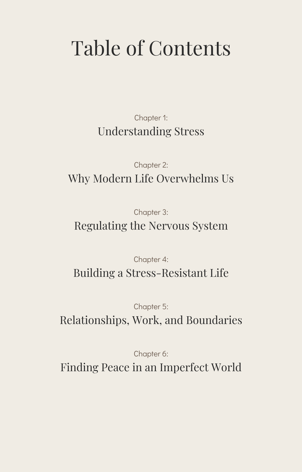 HOW TO KEEP PEACE IN A STRESSFUL LIFE